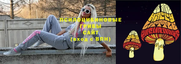 СК Семилуки