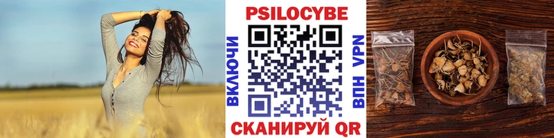 Галлюциногенные грибы прущие грибы  магазин  наркотиков  Куса 